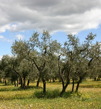 gite saint remy de provence