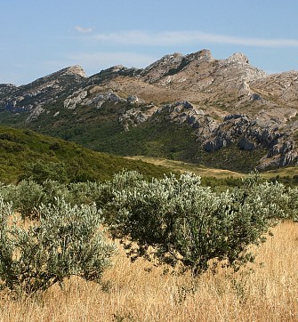 location saint remy de provence